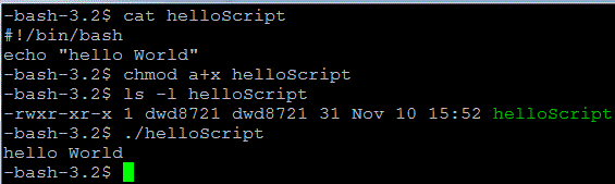 script example
