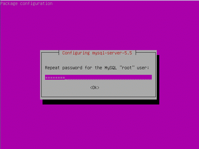 mySQL Password Screen